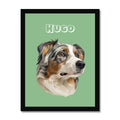 Modern: Custom One Pet Portrait