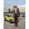 Mr Bean: Custom Digital Download Pet Portrait