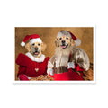 Mr & Mrs Claus: Custom Pet Poster