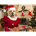 Mrs Claus: Custom Digital Download Pet Portrait