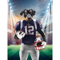 New England Pawtriots: Custom Digital Download Pet Portrait