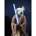 Galactic Mentor: Custom Digital Download Pet Portrait