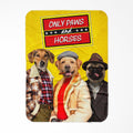 Only Paws and Horses 3: Custom Pet Blanket