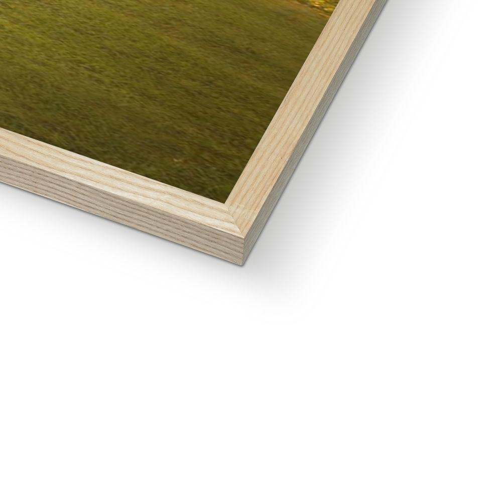 Pet Portraits | Outlander: Custom Pet Portrait | Paw & Glory