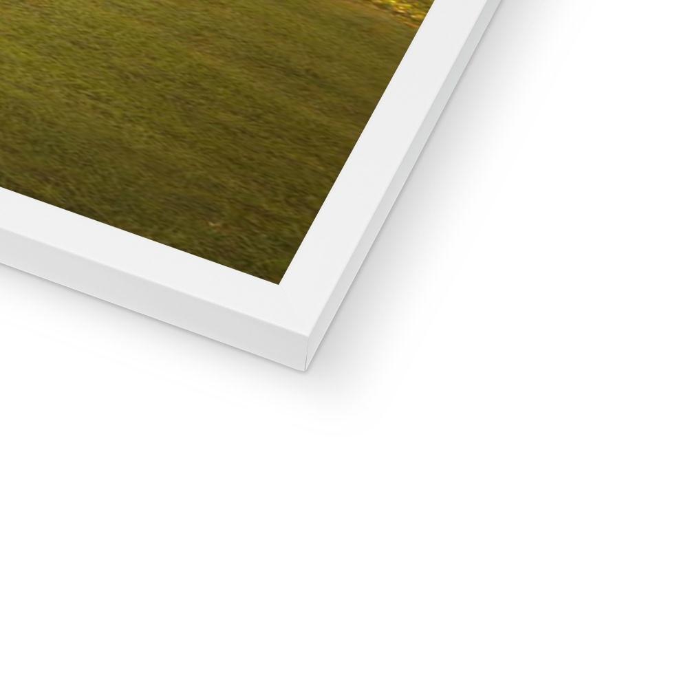 Pet Portraits | Outlander: Custom Pet Portrait | Paw & Glory