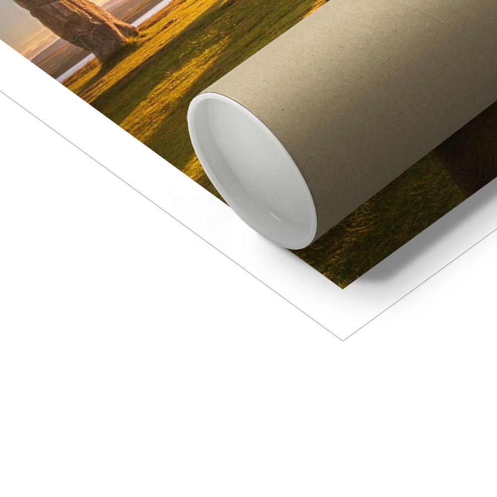 Pet Portraits | Outlander: Custom Pet Poster | Paw & Glory