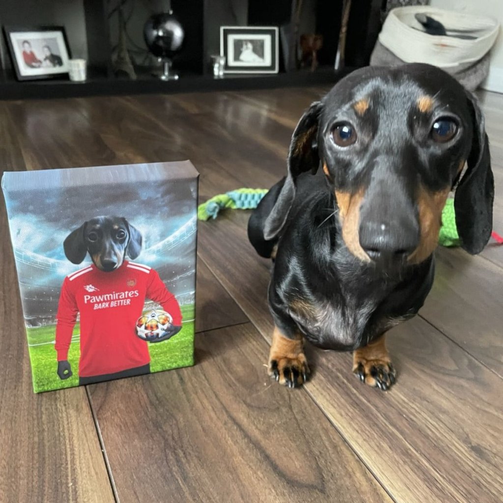Pet Portraits | Pawsernal Football Club: Custom Pet Canvas | Paw & Glory