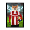 Pawtheletico Madrid Football Club: Custom Pet Portrait