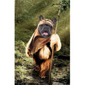 Pet E-Wok: Custom Digital Download Pet Portrait