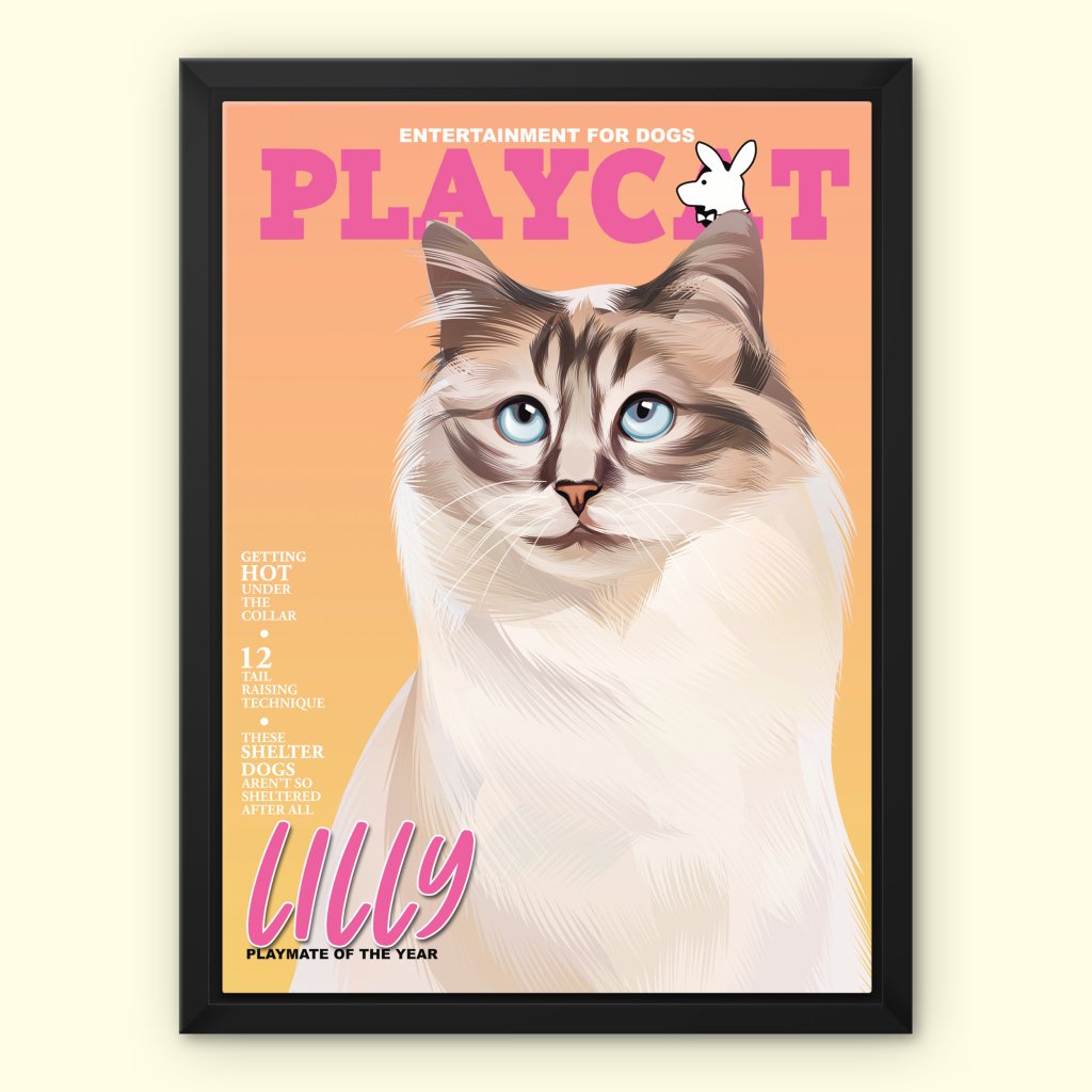 Pet Portraits | Play Cat: Custom Pet Canvas | Paw & Glory