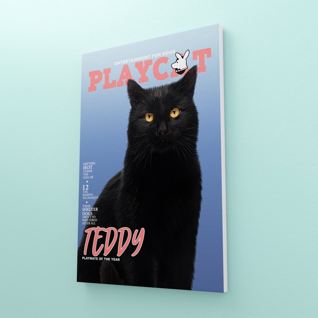 Pet Portraits | Play Cat: Custom Pet Canvas | Paw & Glory