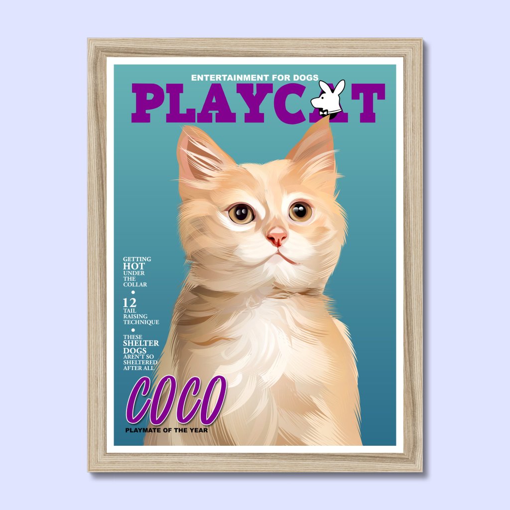 Pet Portraits | Play Cat: Custom Pet Portrait | Paw & Glory