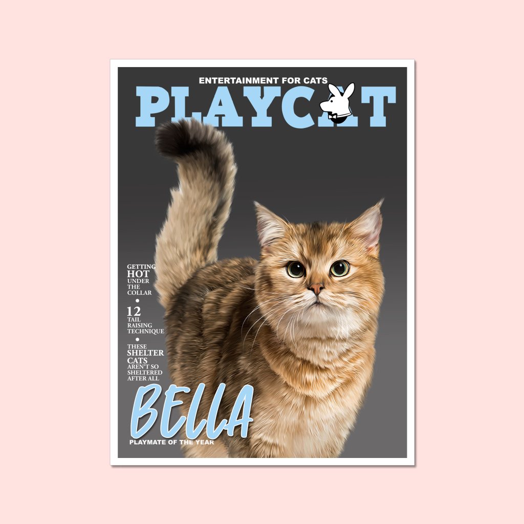 Pet Portraits | Play Cat: Custom Pet Portrait | Paw & Glory