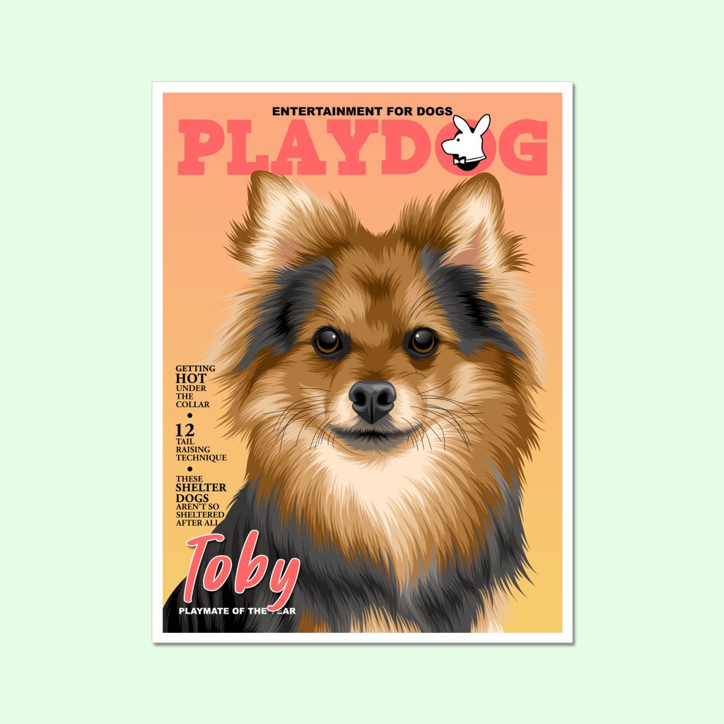 Pet Portraits | Play Dog: Custom Pet Portrait | Paw & Glory