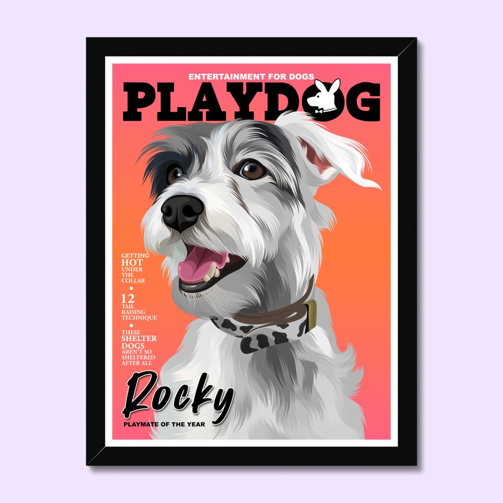 Pet Portraits | Play Dog: Custom Pet Portrait | Paw & Glory