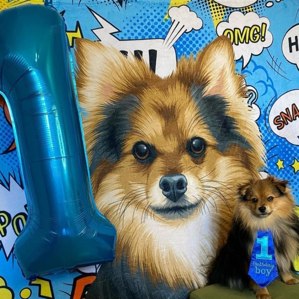 Pet Portraits | Premium Gift Set (Art Style) | Paw & Glory