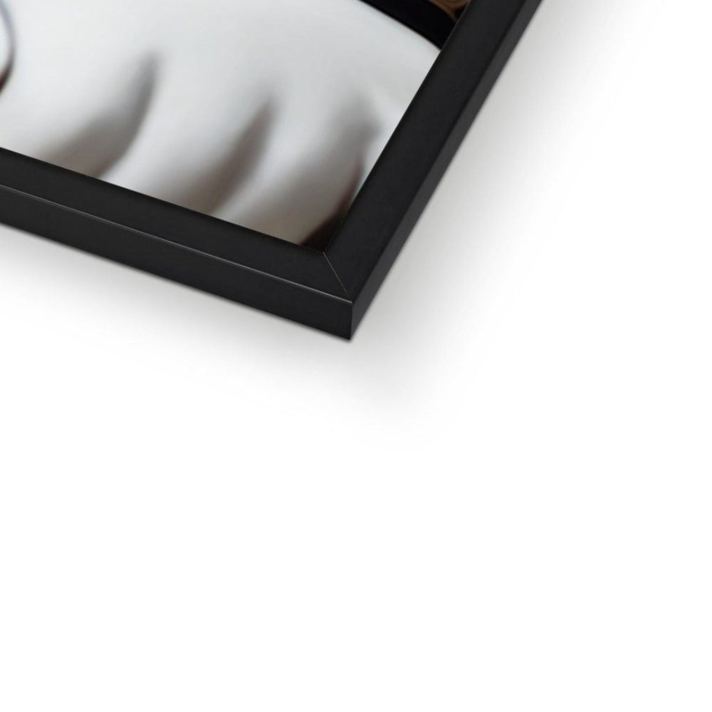 Pet Portraits | Prince Consort: Custom Pet Portrait | Paw & Glory