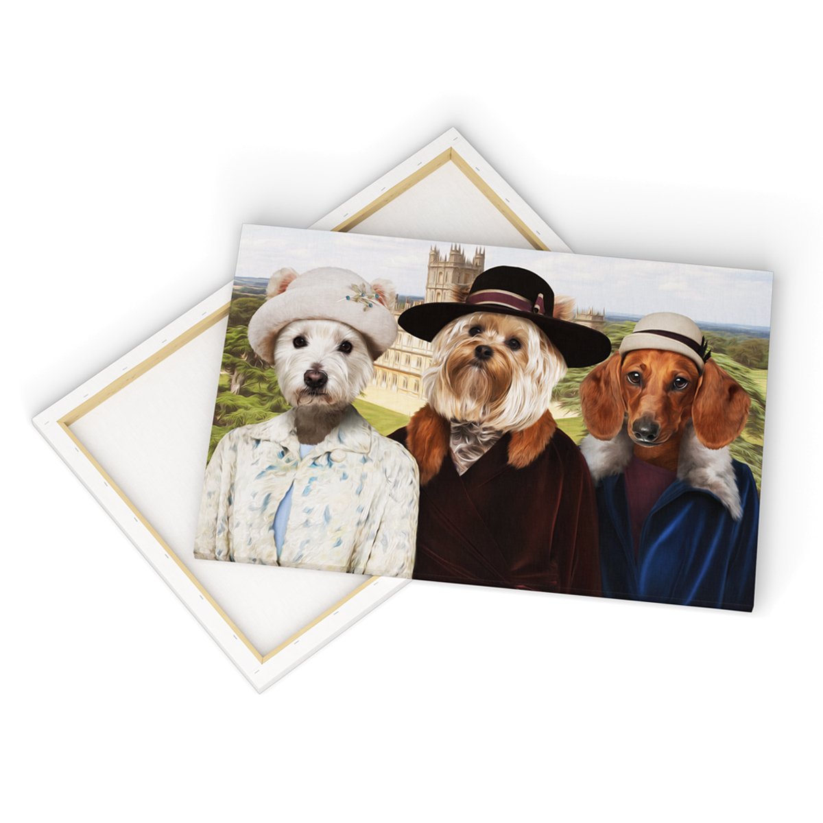 Pet Portraits | Print Your Digital 3 Pet Portrait On A Canvas | Paw & Glory