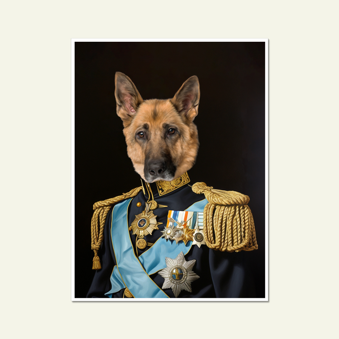Paw & Glory, paw and glory, regal portrait of pet, your pet in military uniform, pet photograph, pet canvas print, petportraits, pet portraits