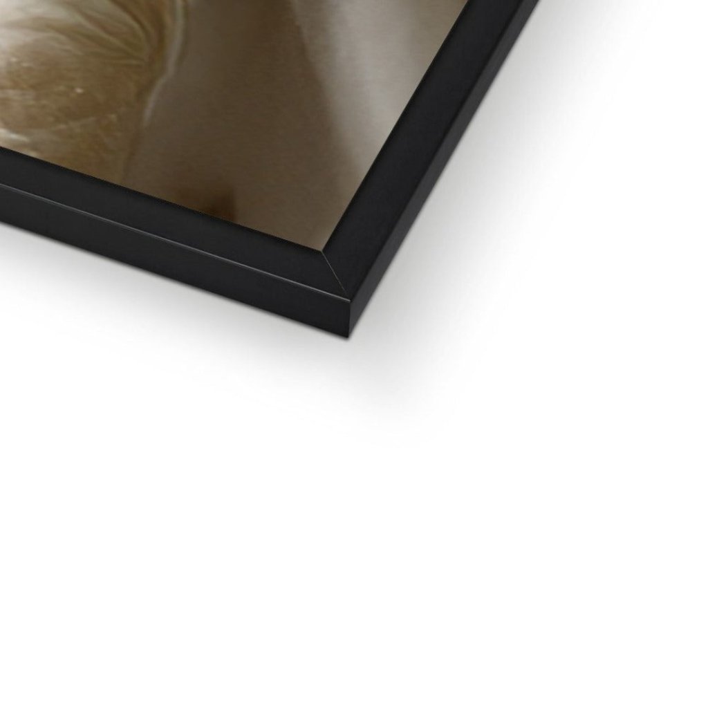 Royal Couple: Custom Pet Portrait - Paw & Glory - Dog Portraits - Pet Portraits