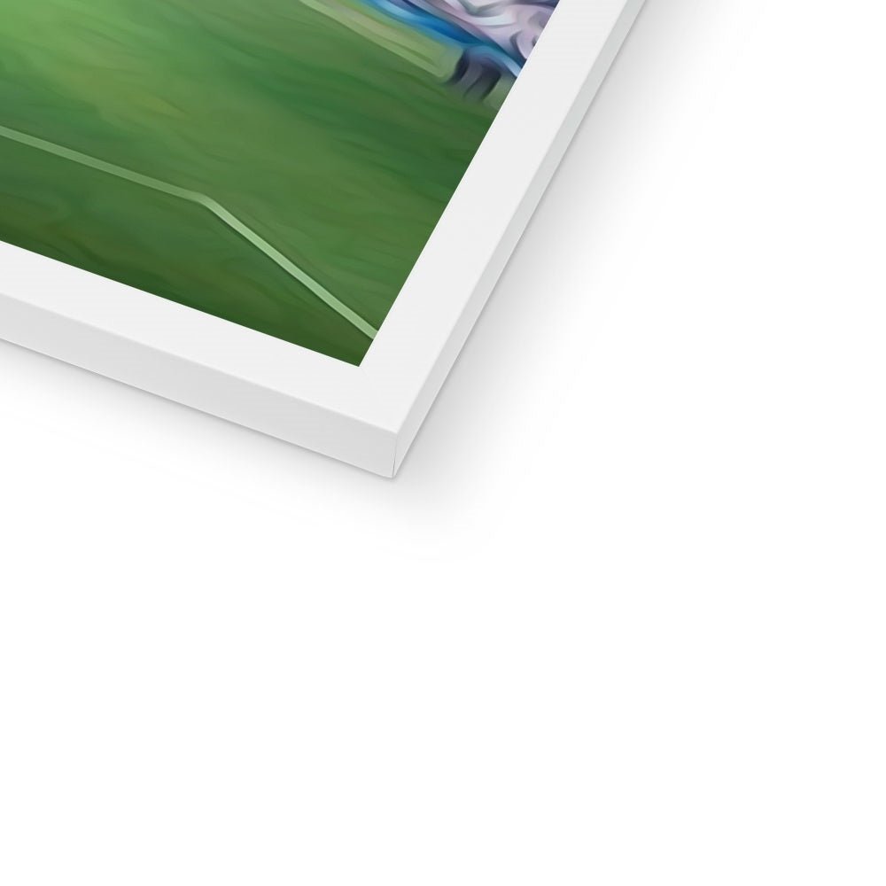 Pet Portraits | Seattle Scratchers Football Club: Custom Pet Portrait | Paw & Glory