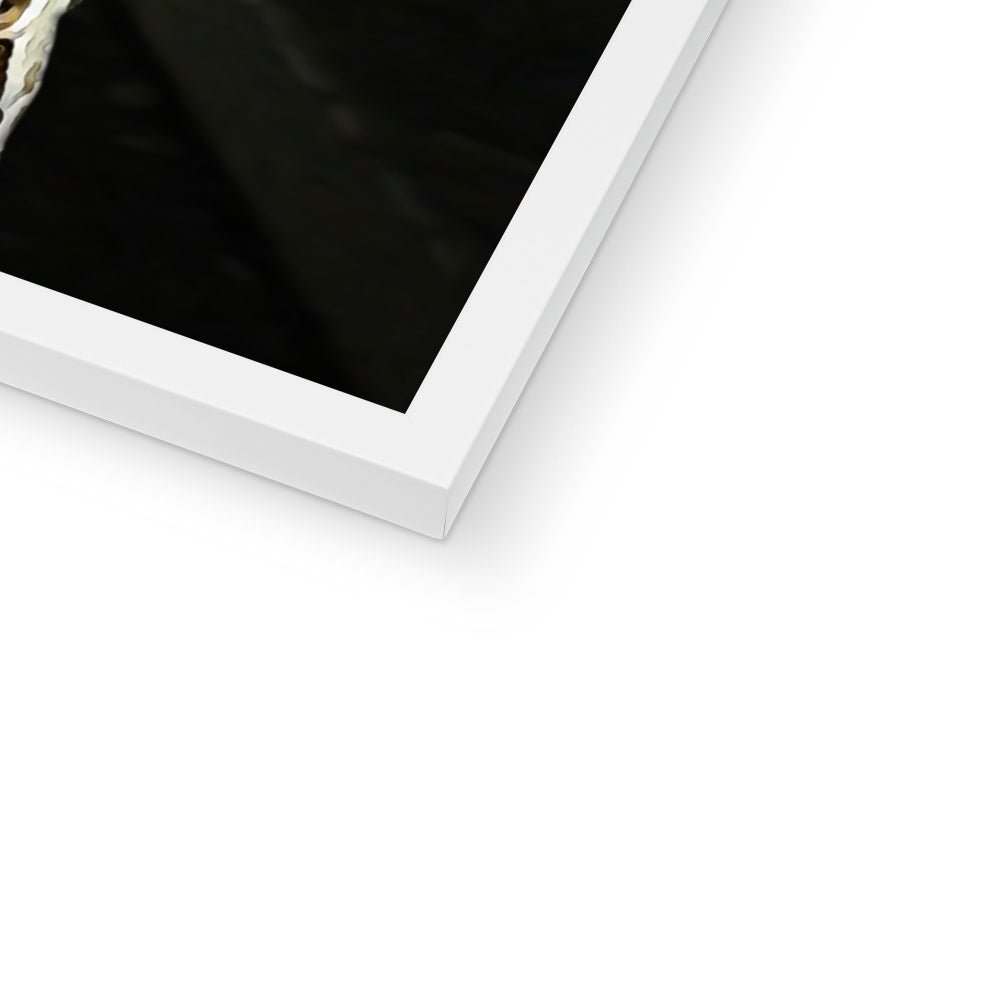 Pet Portraits | Soldier Boy (The Boys Inspired): Custom Pet Portrait | Paw & Glory