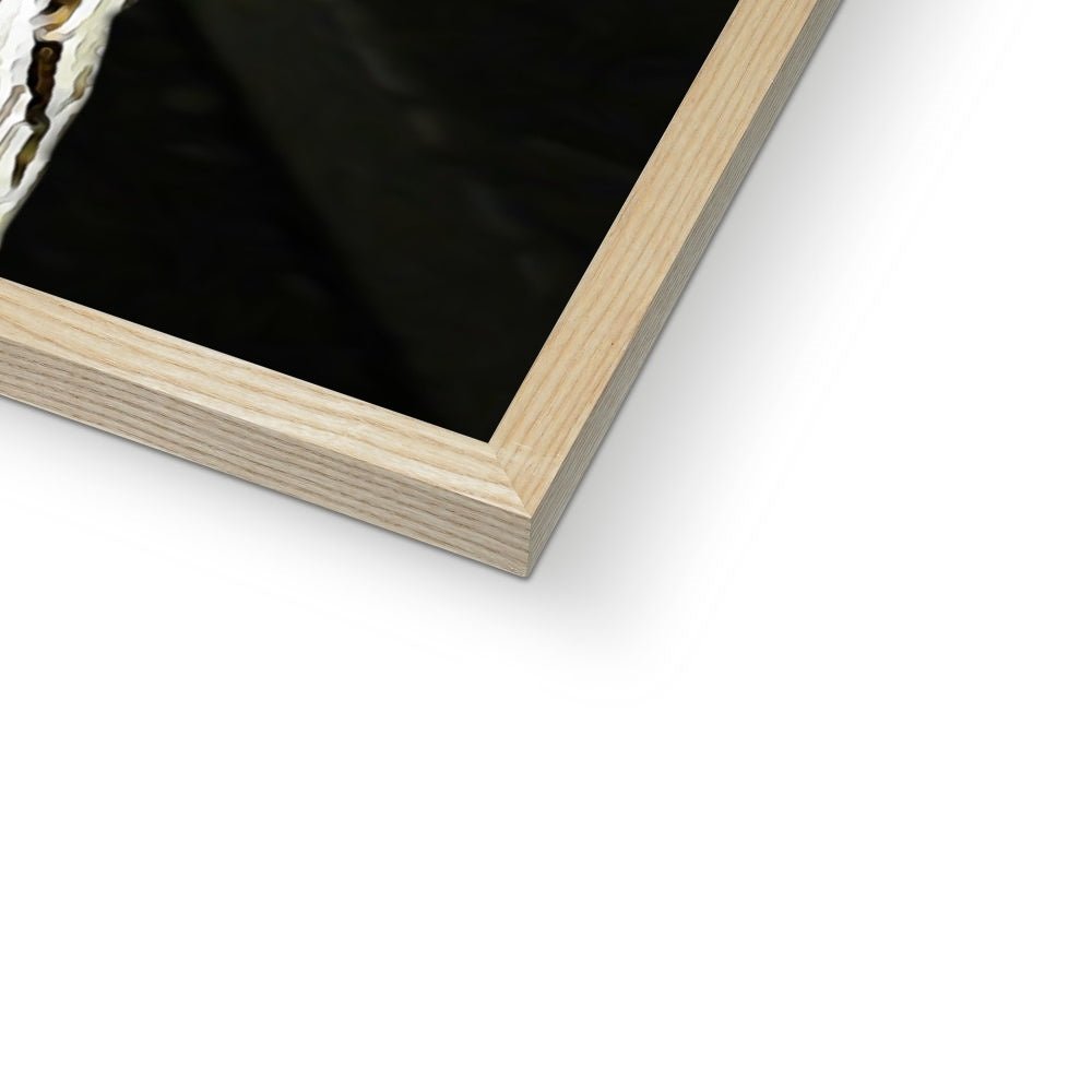 Pet Portraits | Soldier Boy (The Boys Inspired): Custom Pet Portrait | Paw & Glory