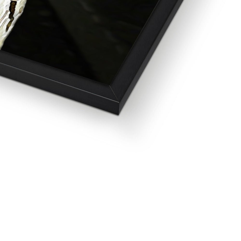 Pet Portraits | Soldier Boy (The Boys Inspired): Custom Pet Portrait | Paw & Glory