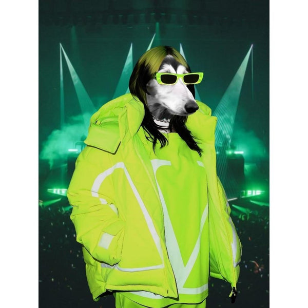 Pop Star Custom Digital Download Pet Portrait | Pet Portrait From Photo | Paw & Glory