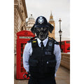 The Constable: Custom Digital Download Pet Portrait