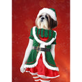 The Female Elf: Custom Digital Download Pet Portrait