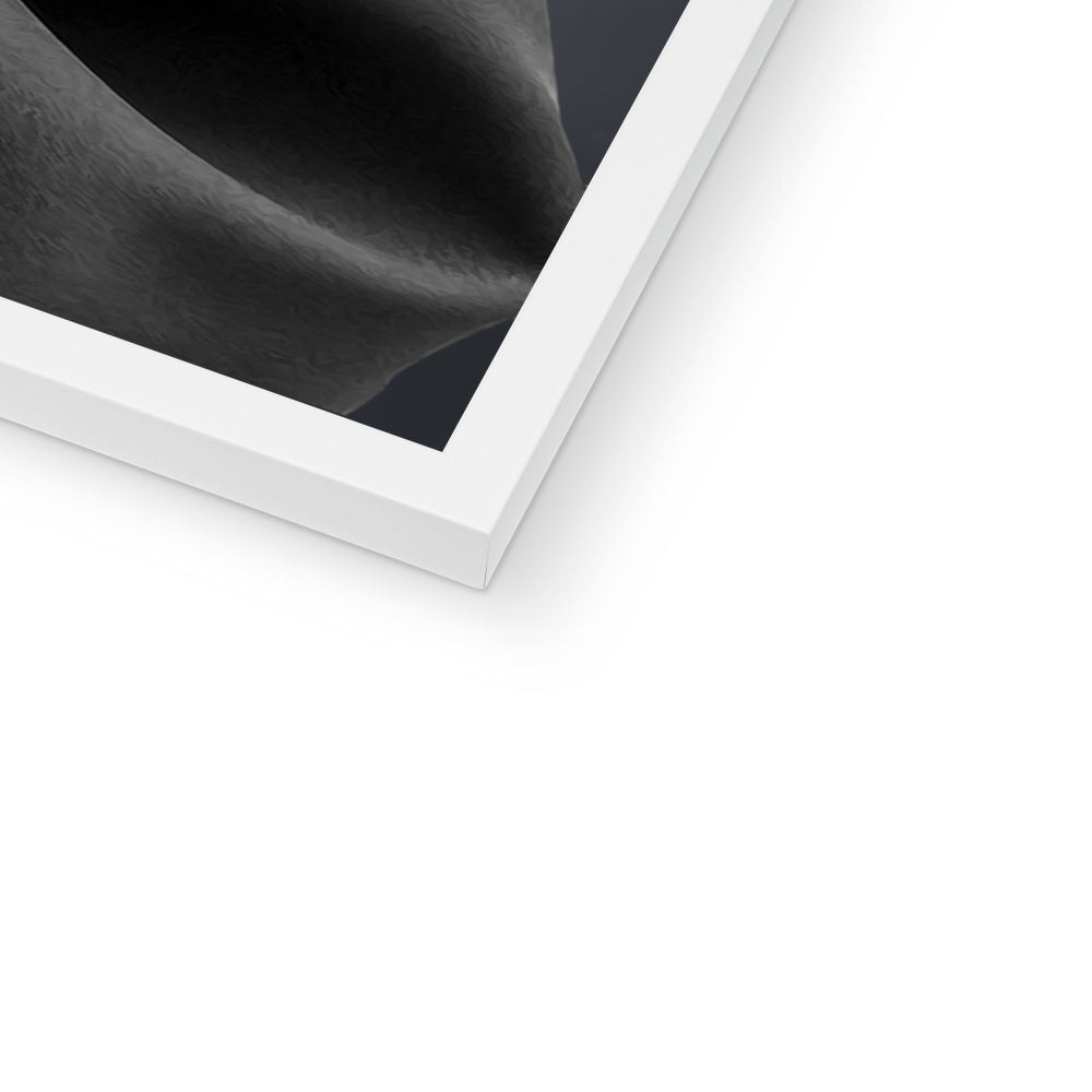 Pet Portraits | The Female Graduate: Custom Pet Portrait | Paw & Glory