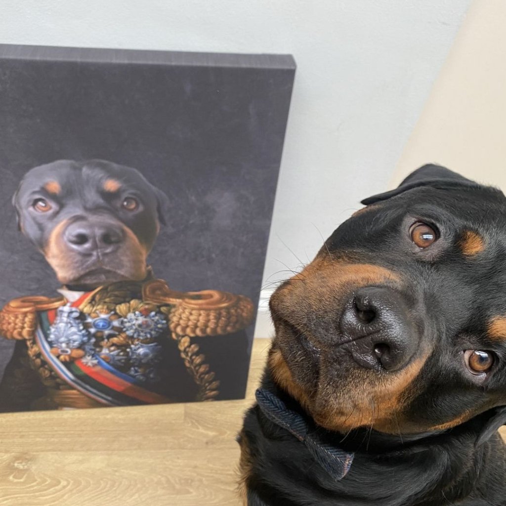 Pet Portraits | The First Lieutenant: Custom Pet Canvas | Paw & Glory