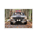 The Ford Mustang: Custom Pet Poster