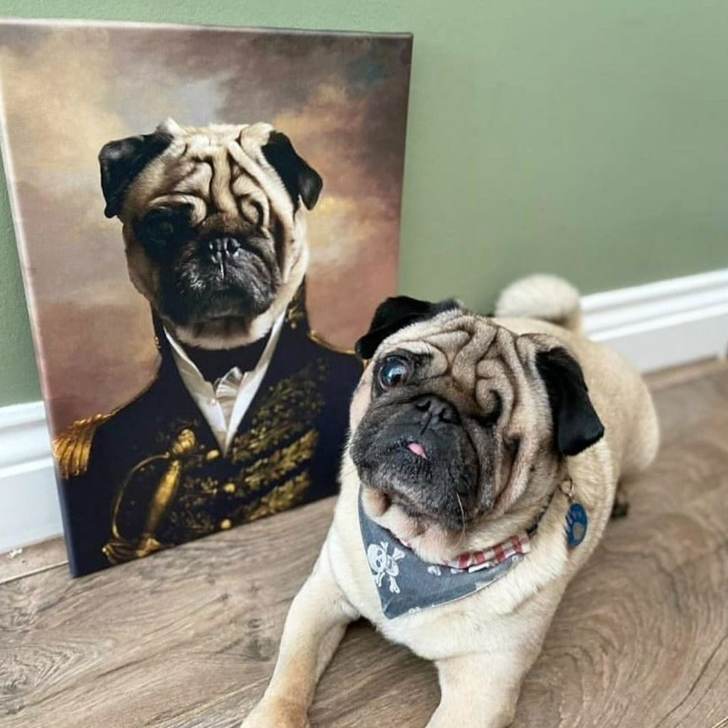 Pet Portraits | The General: Custom Pet Canvas | Paw & Glory