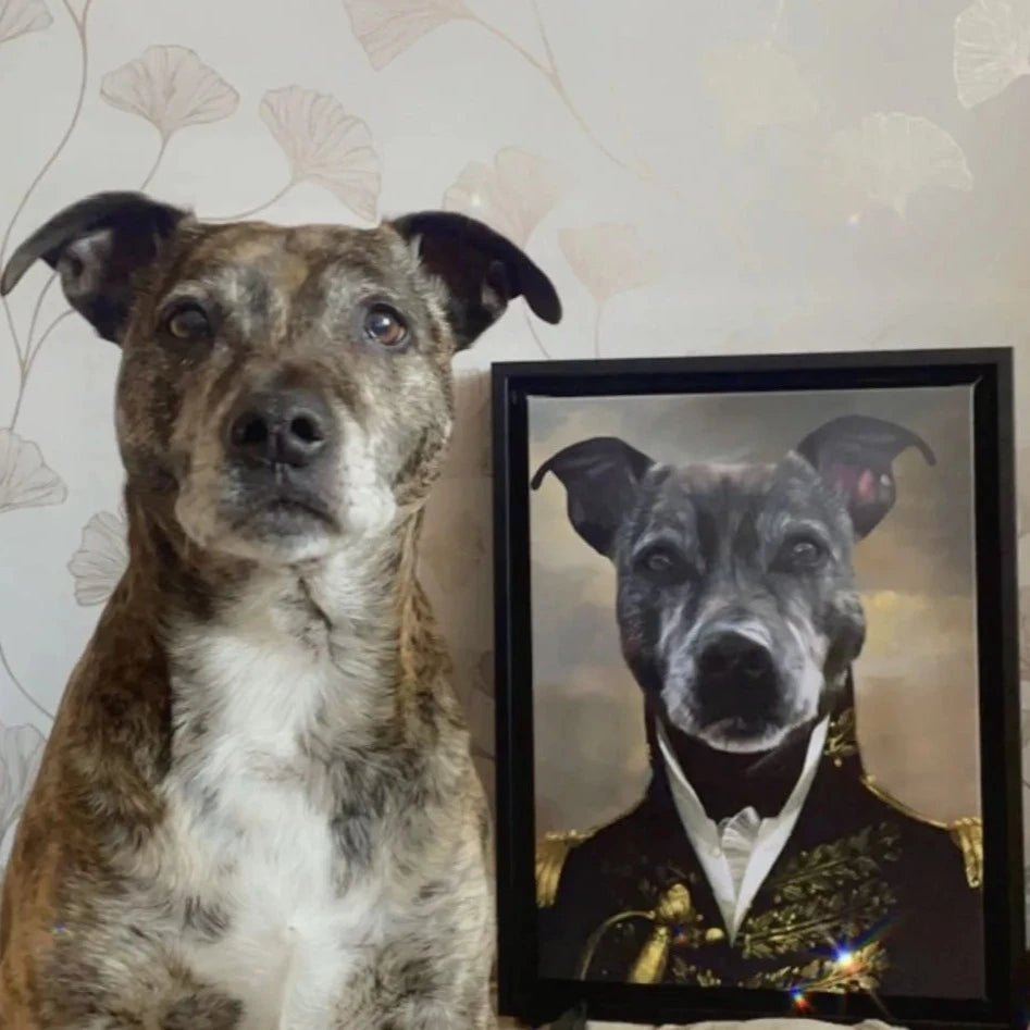Pet Portraits | The General: Custom Pet Canvas | Paw & Glory