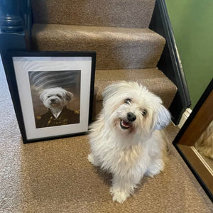 The General: Custom Pet Portrait - Paw & Glory - Dog Portraits - Pet Portraits
