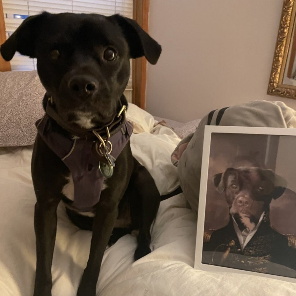 Pet Portraits | The General: Custom Pet Portrait | Paw & Glory