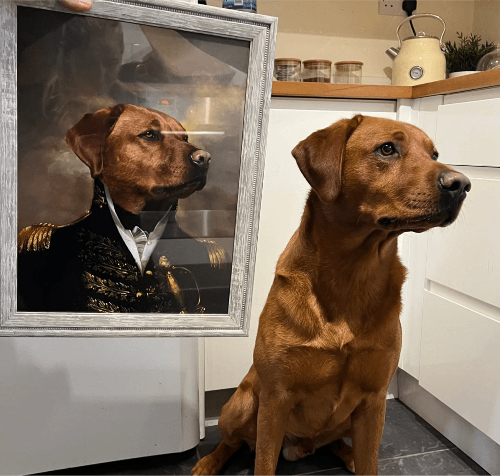 The General: Custom Pet Portrait - Paw & Glory - Dog Portraits - Pet Portraits