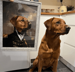 The General: Custom Pet Portrait - Paw & Glory - Dog Portraits - Pet Portraits