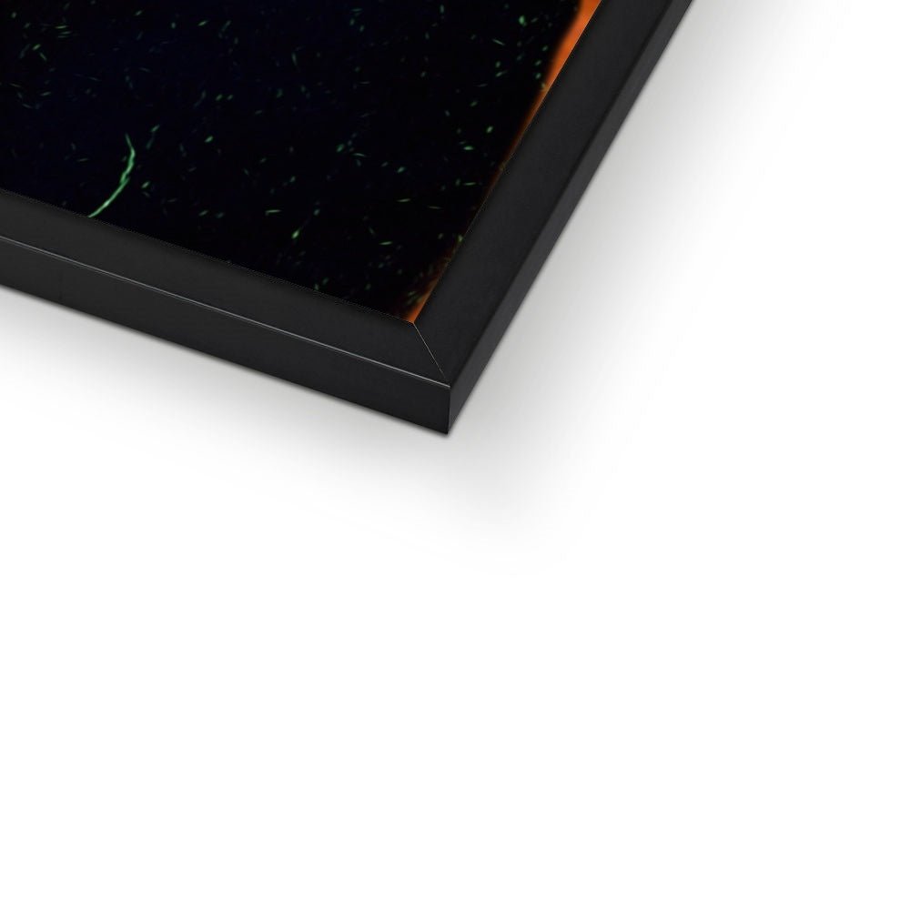 Pet Portraits | The General Irish Flag Edition: Custom Pet Portrait | Paw & Glory