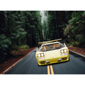 The Hypercar: Custom Digital Download Pet Portrait