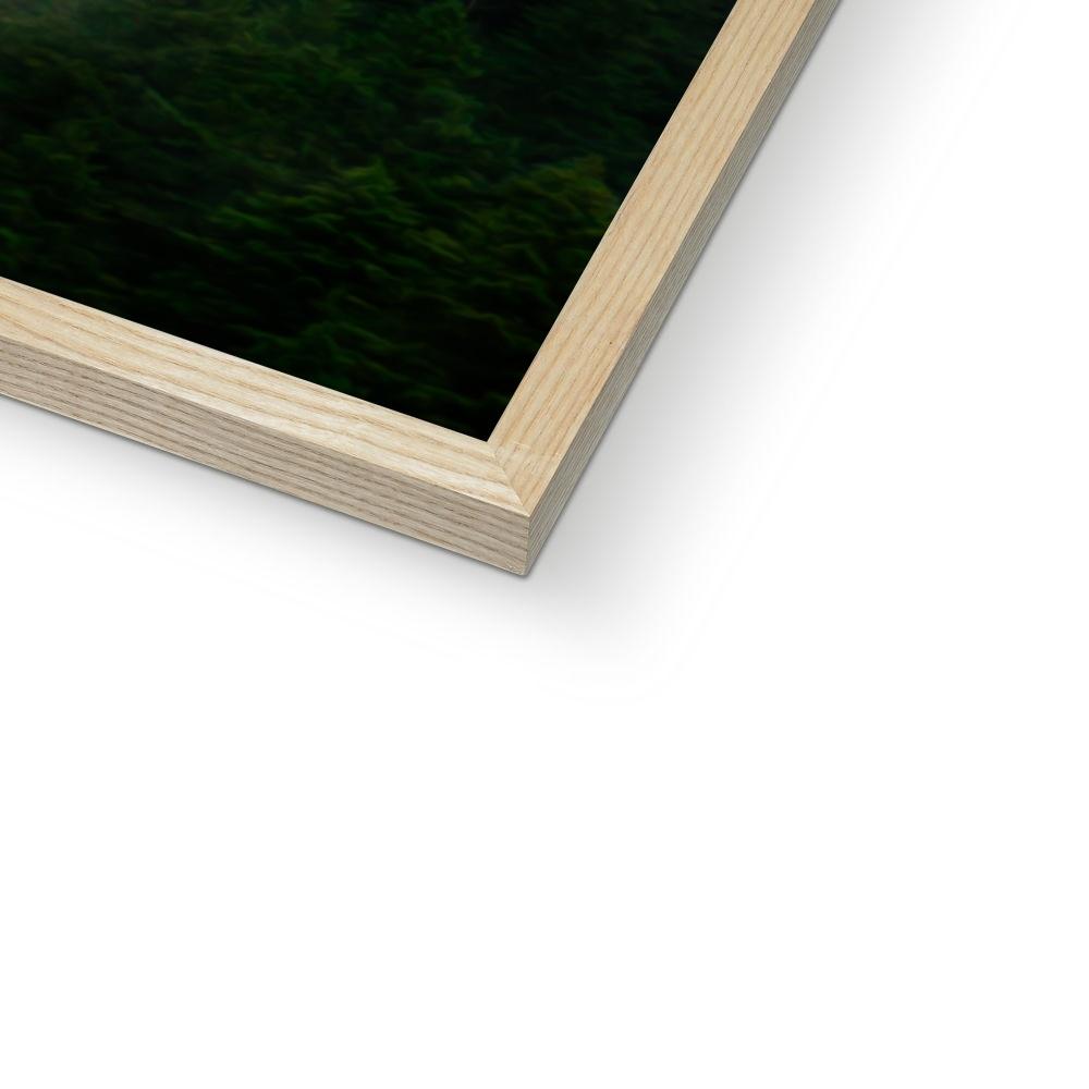 Pet Portraits | The Karate Master: Custom Pet Portrait | Paw & Glory