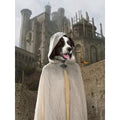 The Kings Spy (House Of The Dragon Inspired): Custom Digital Download Pet Portrait