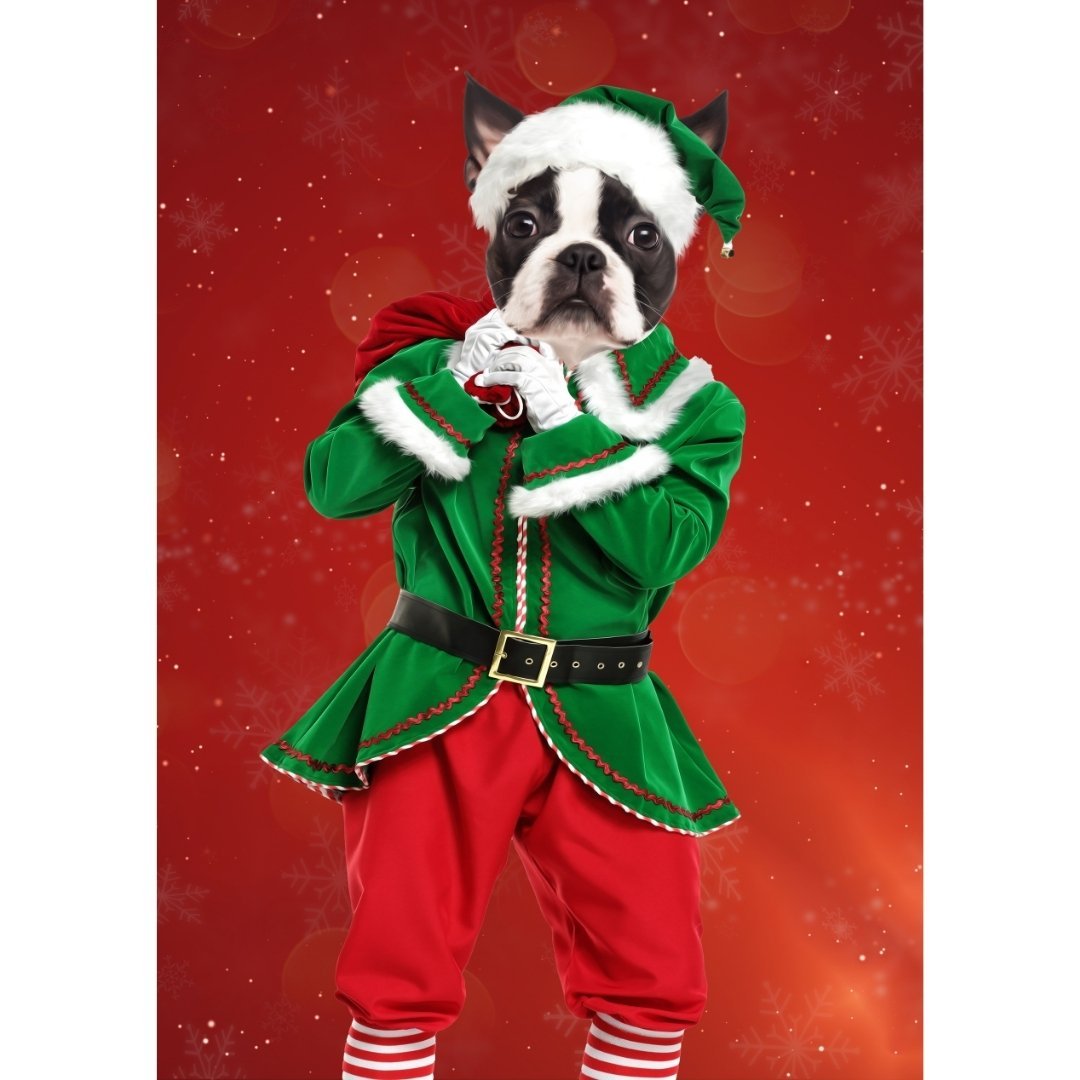 Pet Portraits | The Male Elf: Custom Digital Download Pet Portrait | Paw & Glory