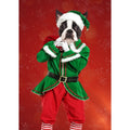 The Male Elf: Custom Digital Download Pet Portrait