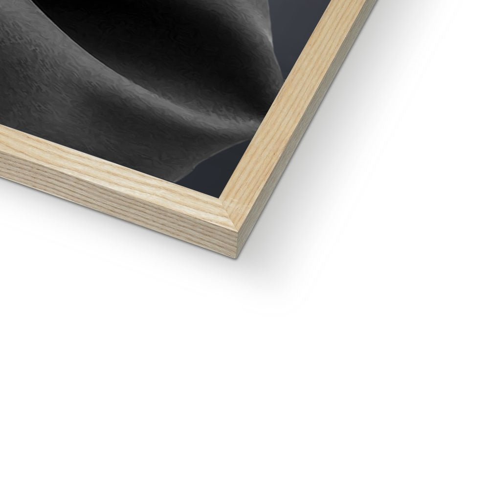 Pet Portraits | The Male Graduate: Custom Pet Portrait | Paw & Glory