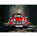 The Mini Touring: Custom Digital Download Pet Portrait