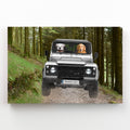 The Off-Roader: Custom Pet Canvas