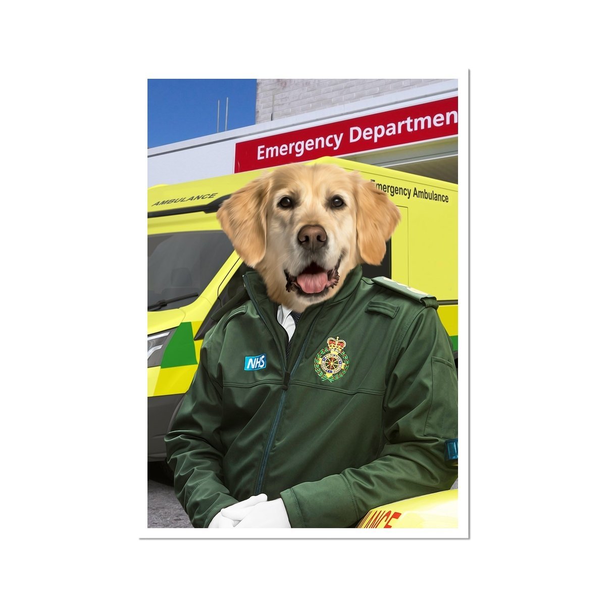 The Paramedic: Custom Pet Portrait - Paw & Glory - Dog Portraits - Pet Portraits